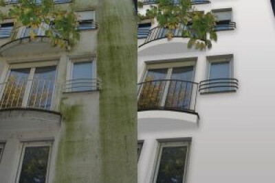 JUBIZOL Algae and mold